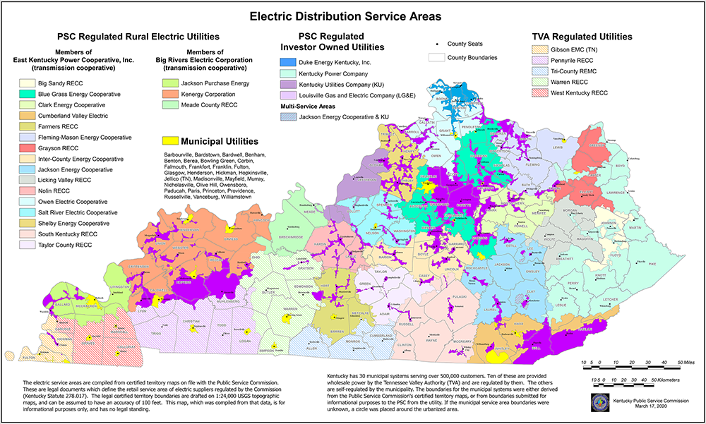 Electric_Service_Areas_Wall_Map